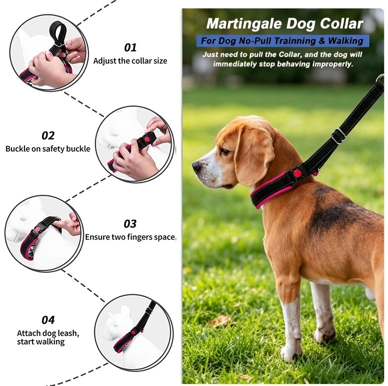 No Pull Dog Collar - Heavy Duty Nylon With Buckle