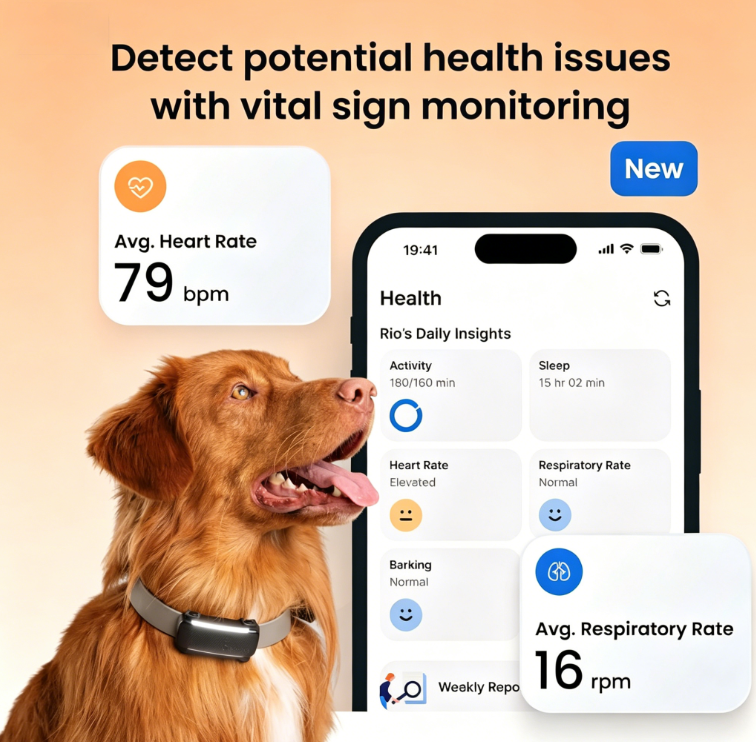Tractive Smart Dog GPS Tracker