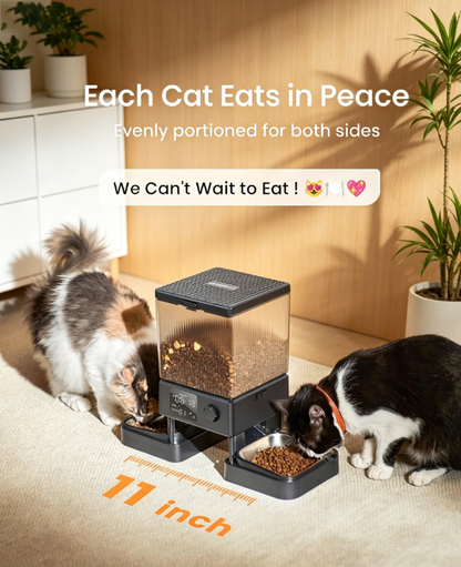 Automatic Cat Feeder for 2 Cats