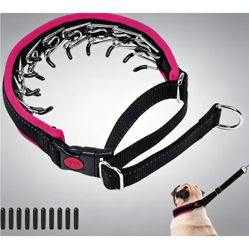 No Pull Dog Collar - Heavy Duty Nylon With Buckle