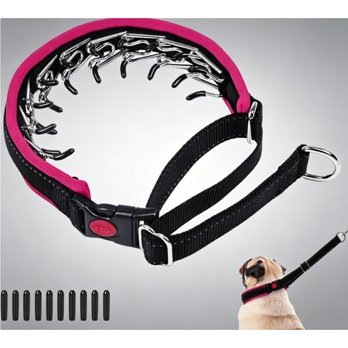 No Pull Dog Collar - Heavy Duty Nylon With Buckle