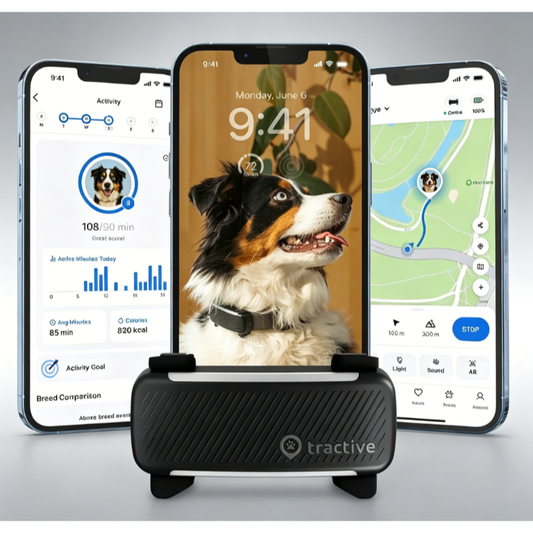 Tractive Smart Dog GPS Tracker